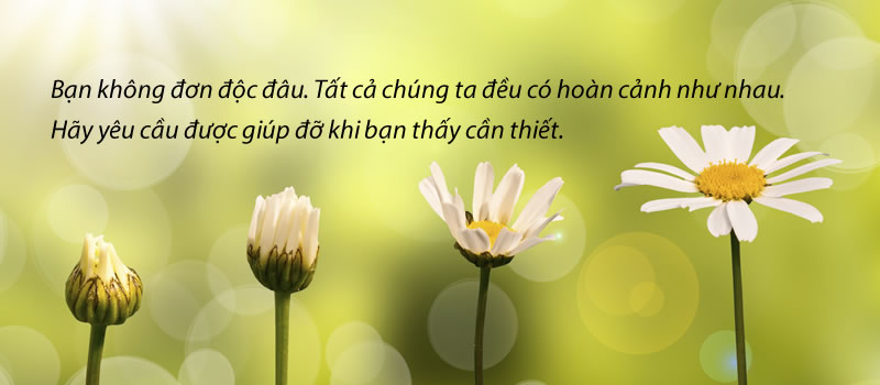 Bạn không đơn độc đâu. Tất cả chúng ta đều có hoàn cảnh như nhau. Hãy yêu cầu được giúp đỡ khi bạn thấy cần thiết.